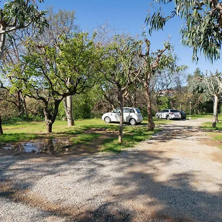 Monolocale Con Soppalco 43 Albenga